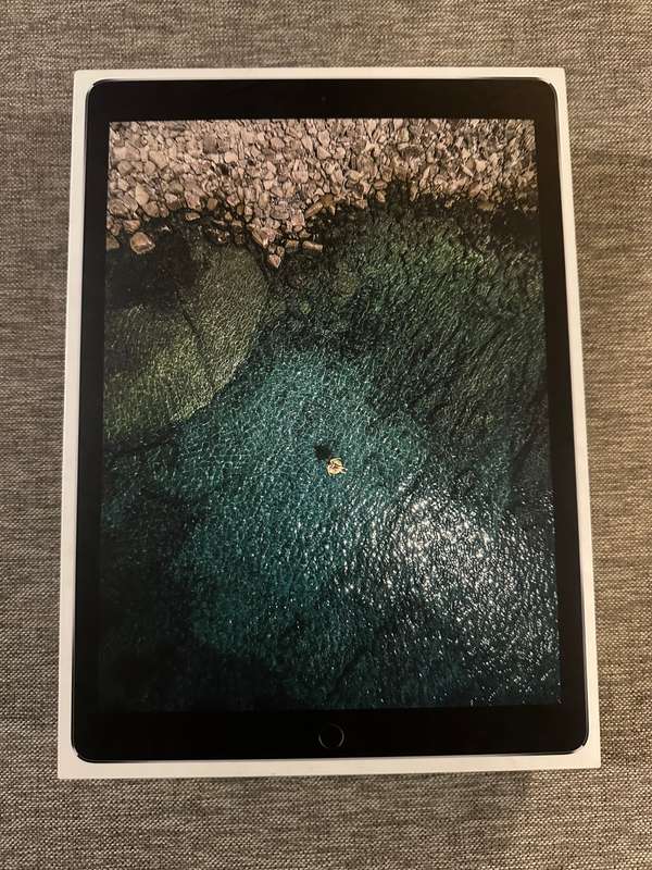 IPAD PRO 12.9 INCH 2ND GEN 256GB WIFI AND CELLULAR