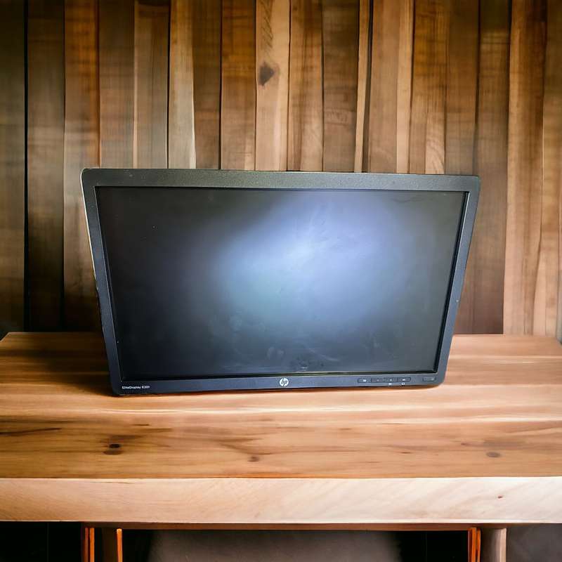 HP EliteDisplay E201