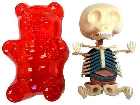 GUMMI BEAR ANATOMY: RED