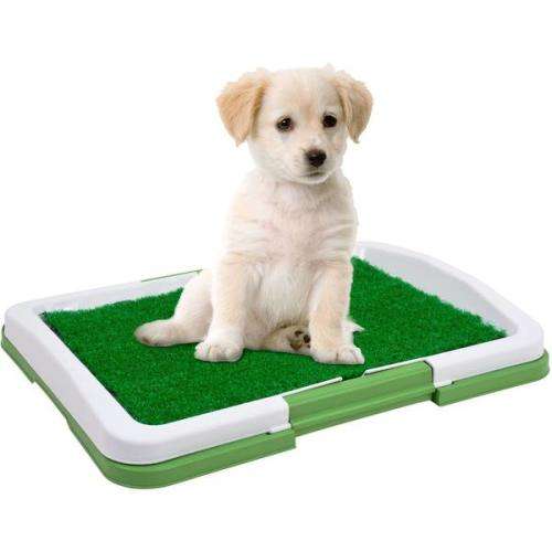 Puppy Potty Pad