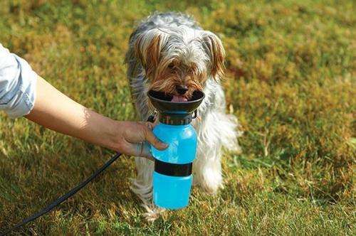 Aqua Dog - The Water Bottle For Dogs On-The-Go