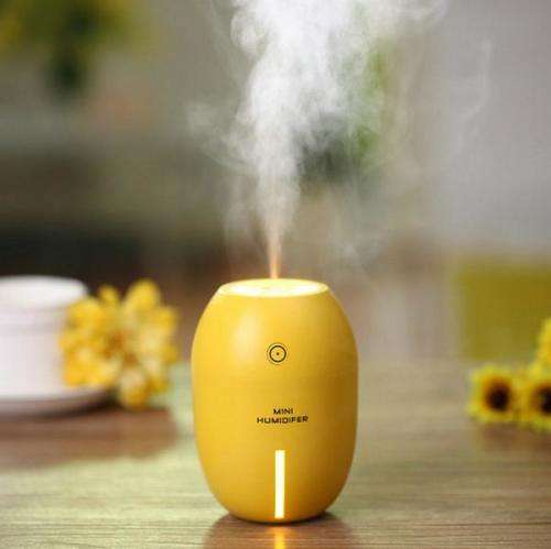 Lemon Humidifier