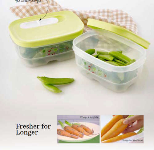 Tupperware 2 x Vent Smart 375 ML