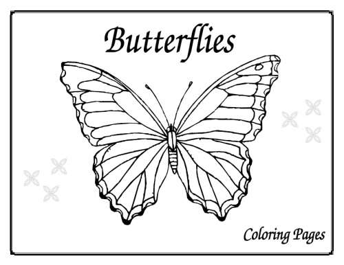 (E-Book)Butterflies Coloring Pages
