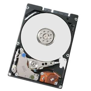 250GB 2.5" Laptop Hard Drive (Mac OSX compatible)