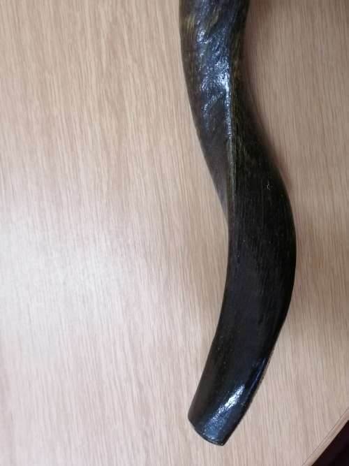 KUDU HORN SHOFAR TRUMPET