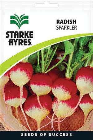 Starke Ayres - Radish - Sparkler