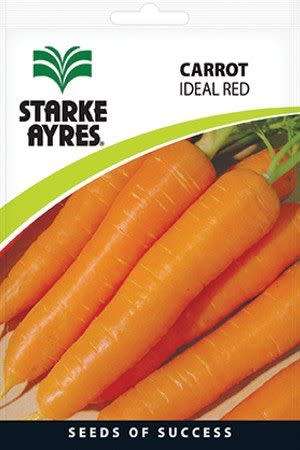 Starke Ayres - Carrot - Ideal Red