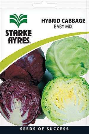 Starke Ayres - Cabbage - Baby Mix