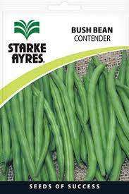 Starke Ayres - Bush Bean