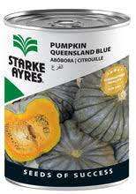 Starke Ayres Pumpkin Queenland Blue 50g