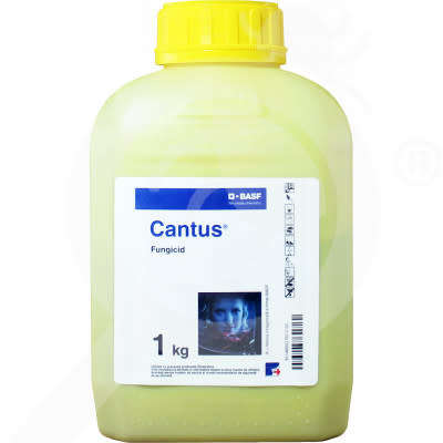 CANTUS WG 1KG