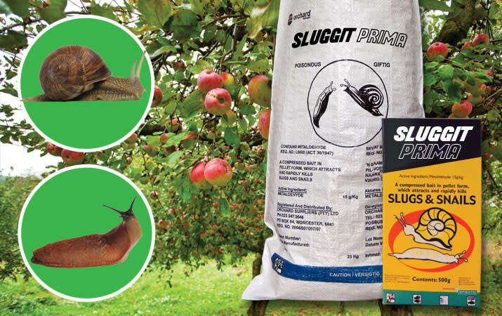 Sluggit 25Kg