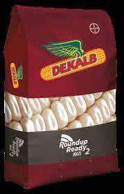 Dkc 76-77 white 2kg