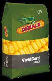 Dkc 76-77 yellow 2kg