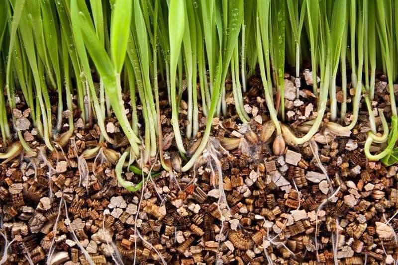 VICAFIL VERMICULITE, MICRON 10 kg