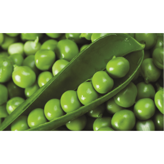 Starke    Ayres Peas Greenfeast 500g