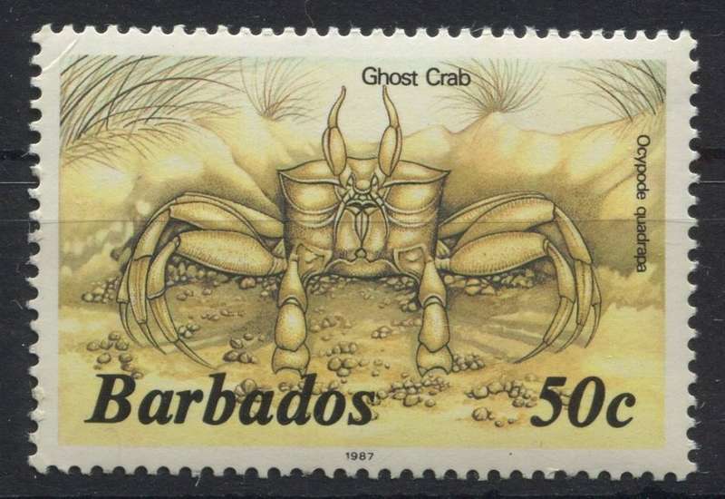 Barbados