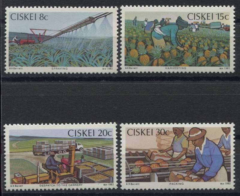 Ciskei - 1982 - MNH