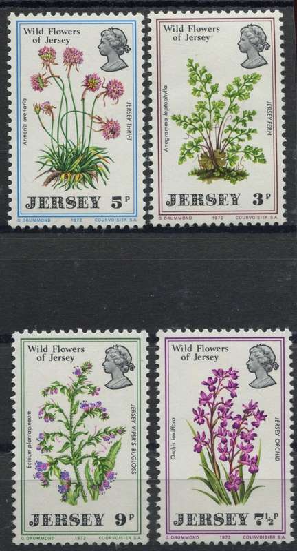 Jersey