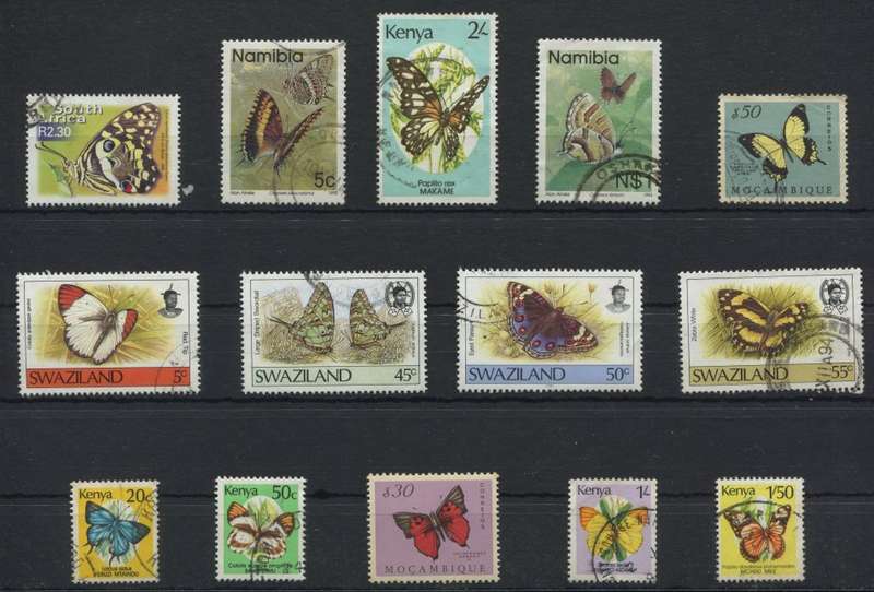 Butterflies