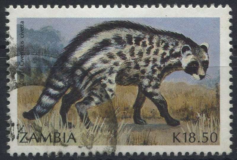 Zambia