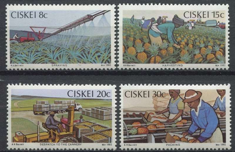 Ciskei - 1982 - MNH