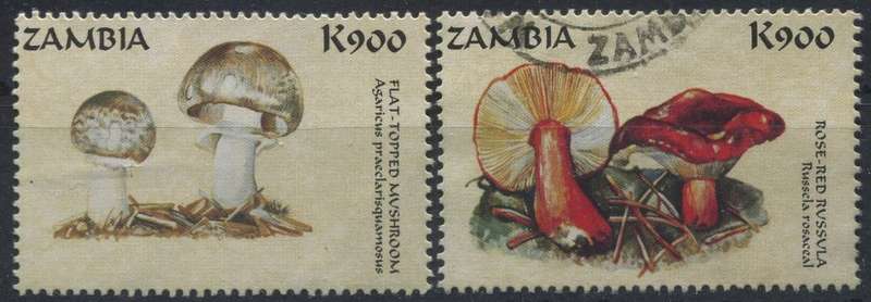 Zambia - Used