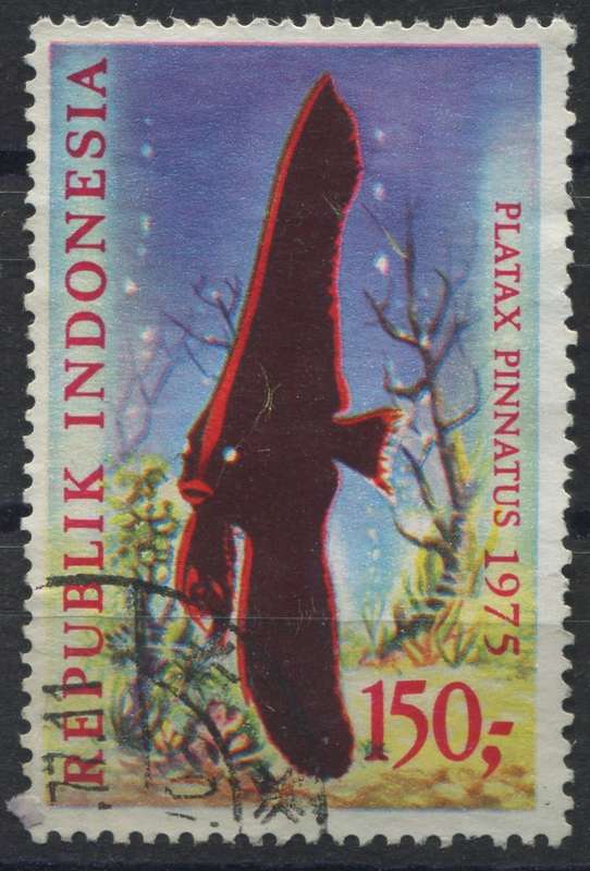 Indonesia - Used