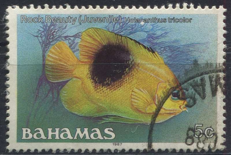 Bahamas - Used