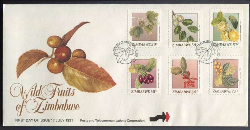 Zimbabwe - FDC