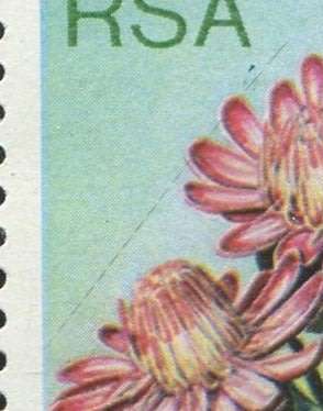 RSA - Minor Variety - Findlay Error Row 10 # 9  and Dotted Line Row 9 # 10 - MNH