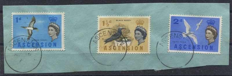 Ascension - Used on Piece