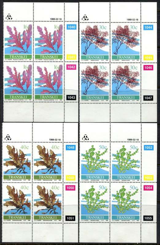 Transkei - Set of 4 Control Blocks of 4 - MNH