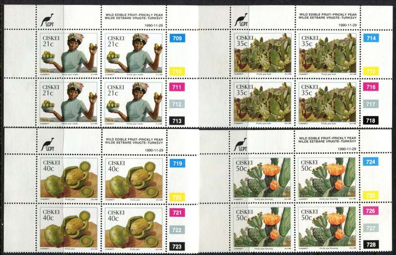 Ciskei - Set of 4 Control Blocks of 4 - 1990 - MNH