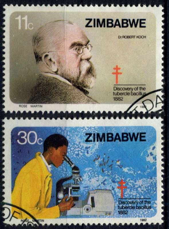 Zimbabwe - CTO