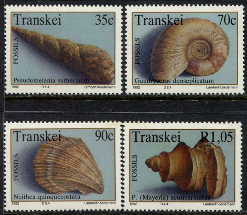 Transkei - Shells - 1992 - MNH