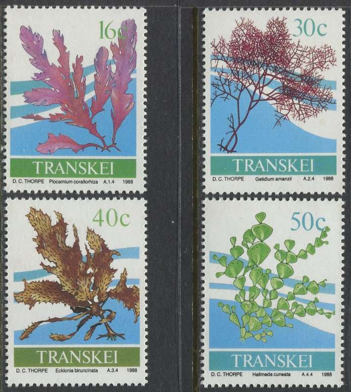 Transkei - Seaweed - 1988 - MNH