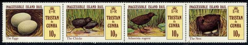 Tristan Da Cunha - 1981 - MNH
