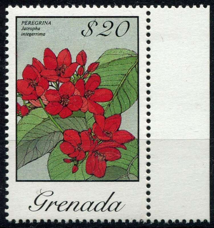 Grenada - Flowers - 1985 - MNH