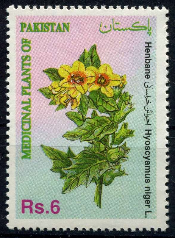 Pakistan - Flowers - 1994 - MNH