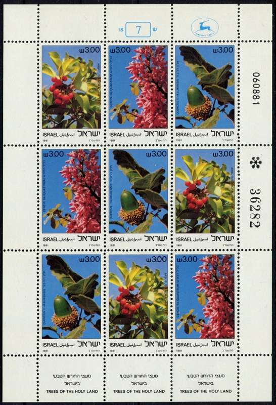 Israel - Complete Sheet of 9 - Flowers - 1981 - MNH