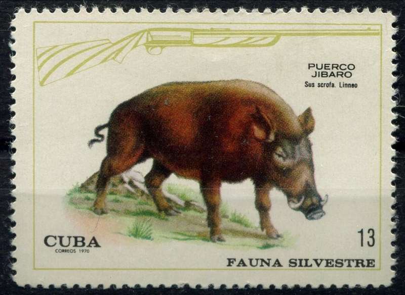Cuba - 1970 - MNH