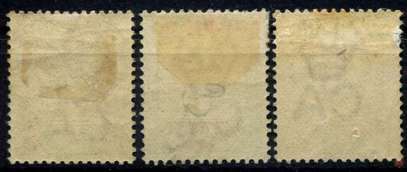 Zululand - 1894 - MM - Some Toning