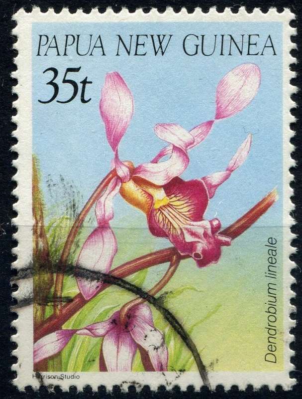 Papua New Guinea - 1986 - Used