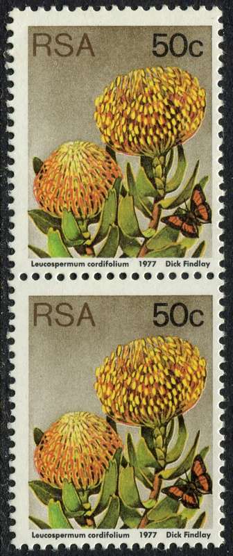 RSA - Minor Perforation Shift - 1977 - MNH