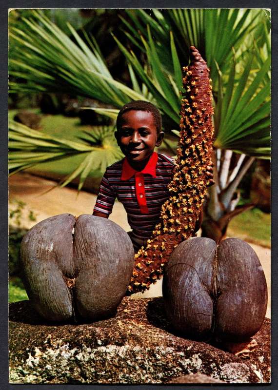 Seychelles - Post Card - Used