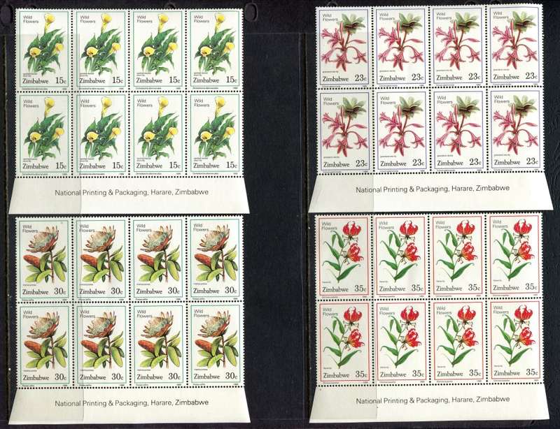 Zimbabwe - Set of 6 Inscription Blocks of 6 - 1989 - MNH