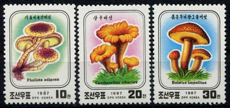 North Korea - Mushrooms  - 1987 - MNH