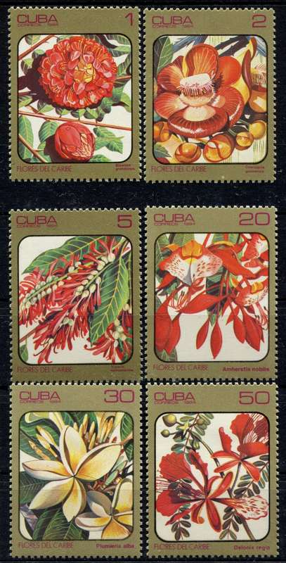 Cuba - Flowers - 1984 - MNH